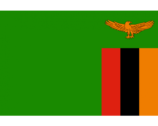 Zambia Flag