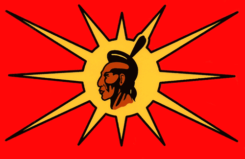 Mohawk Warrior /OKA Flag