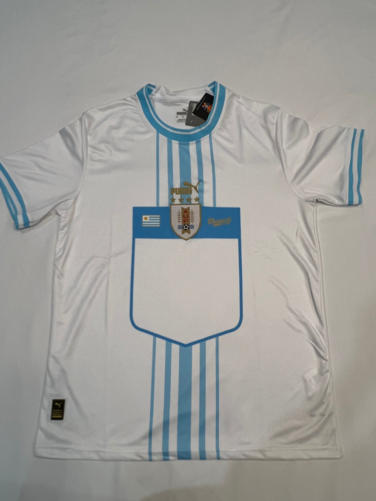 Uruguay FIFA Jersey