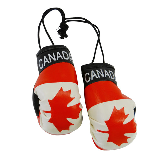 Mini Country Boxing Glove