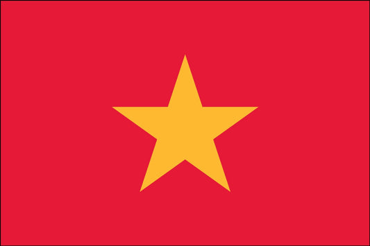 Vietnam (UN) Flag